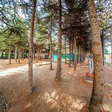 Imperial And Crown Noks Grand